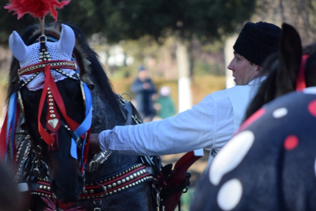 Fetești organizează evenimente speciale de Bobotează pentru locuitori și localitățile din apropiere