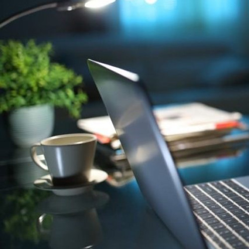 Harvard oferă peste 80 de cursuri online gratuite în diverse domenii