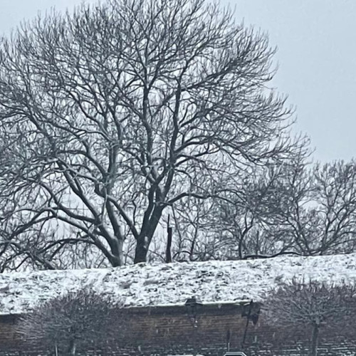 Vremea în ianuarie până în februarie: temperaturi scăzute și precipitații variate