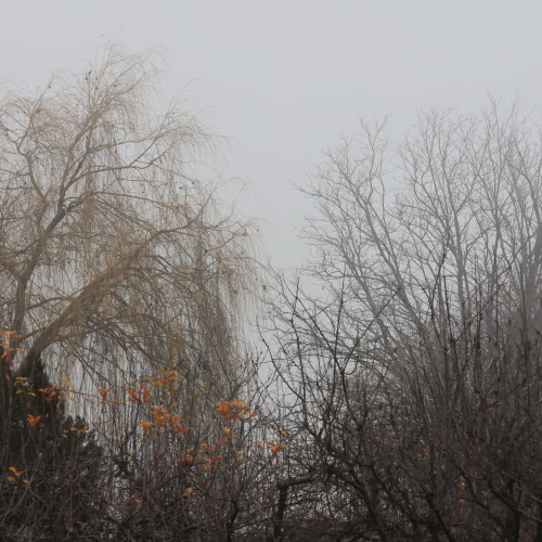 Meteorologii anunță o săptămână cu vreme schimbătoare și o încălzire ușoară ulterioară
