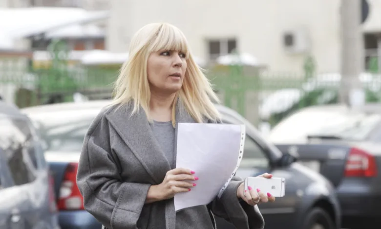 Elena Udrea contestă confiscarea a 900.000 de euro în dosarul Hidroelectrica