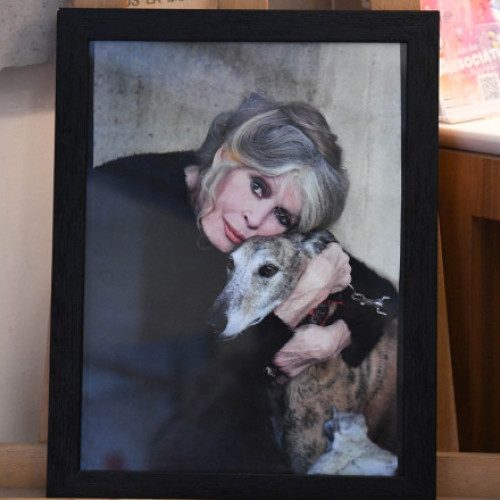 Fundația Brigitte Bardot denunță înșelătorii cu imagini și fonduri false