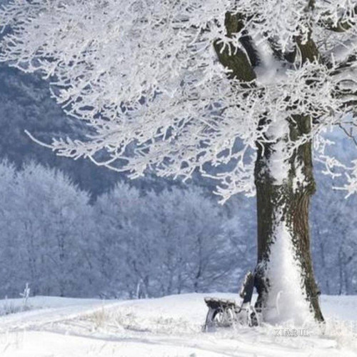 Meteorologii anunță cod galben de ninsori, polei și ger în aproape jumătate din țară