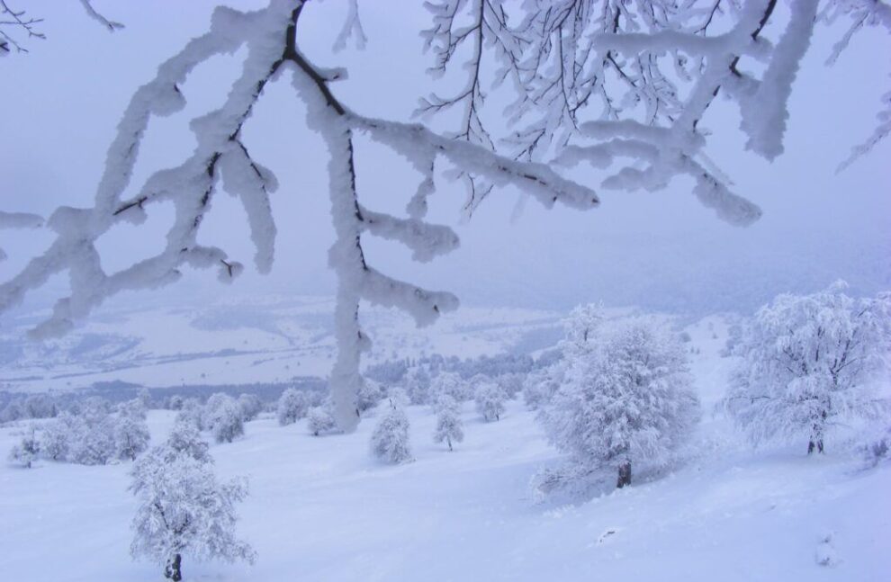 ANM avertizează cu privire la ninsori, polei și ger în următoarele zile