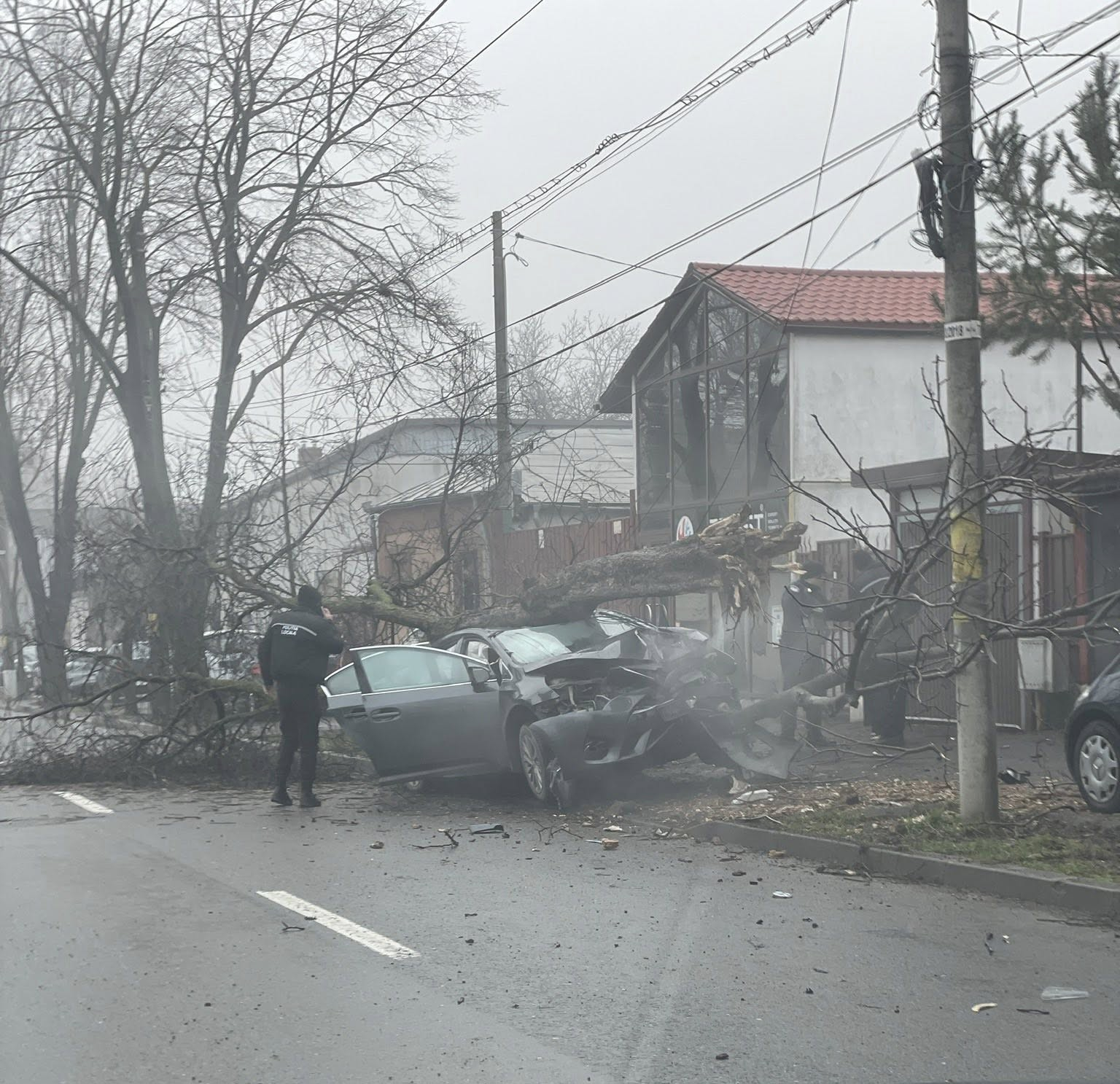 Un autoturism a pătruns pe trotuar în Galați, copacul a fost doborât