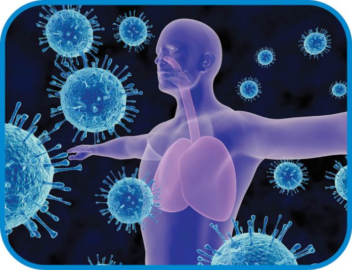 Cercetătorii folosesc ficatul pentru a susține imunitatea persoanelor în vârstă