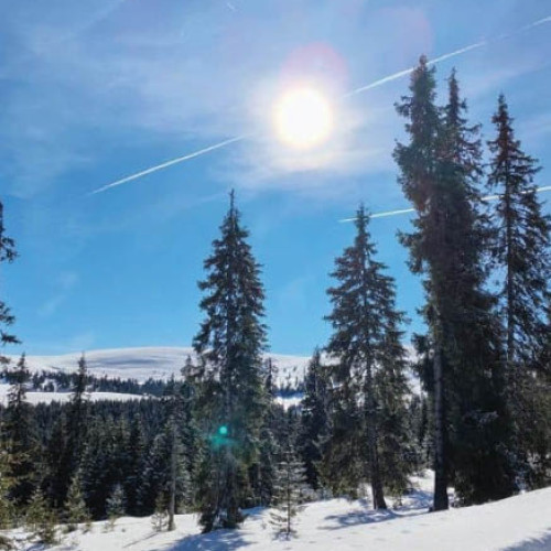 Temperaturile vor crește ușor în majoritatea regiunilor în a doua jumătate a lunii ianuarie