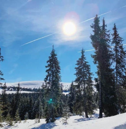 Temperaturile vor crește ușor în majoritatea regiunilor în a doua jumătate a lunii ianuarie