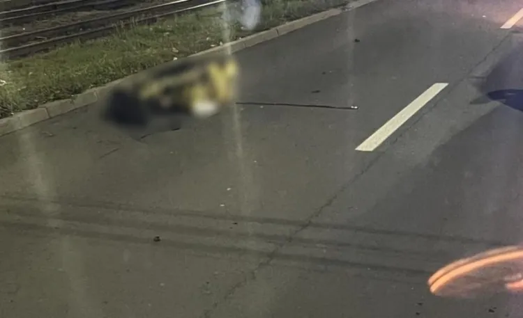 Un pieton de 69 de ani a murit după ce a fost lovit de un șofer care a fugit în Ceanu Mare