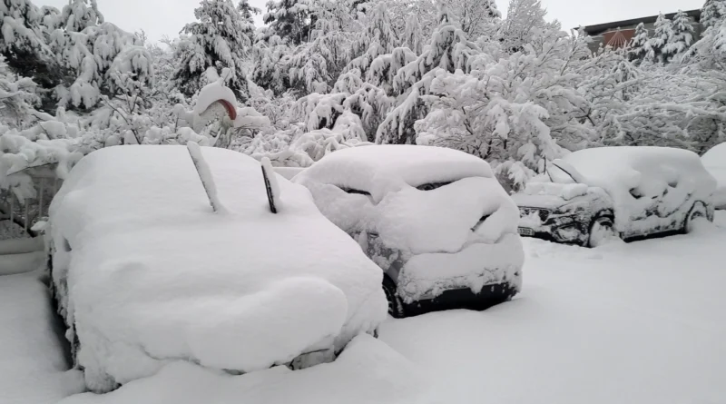 Municipiul Brad suspendă cursurile cu prezență fizică din cauza vremii nefavorabile