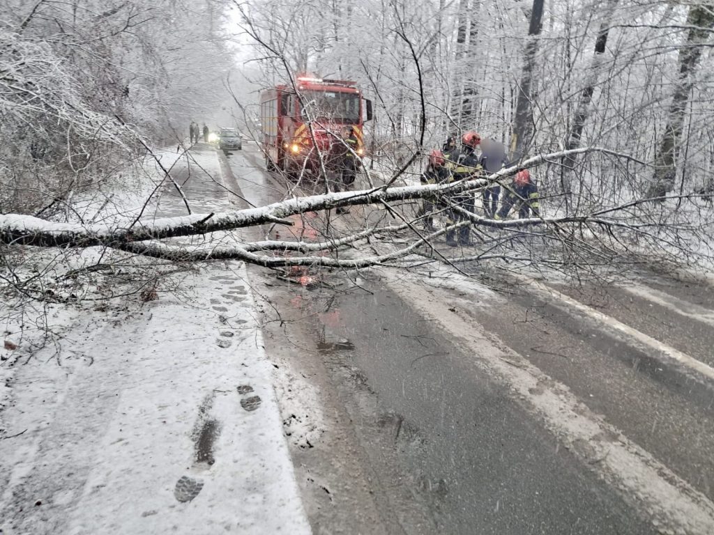 Pompierii din Pitești au intervenit pentru degajarea unui copac căzut pe drumul spre Găvana