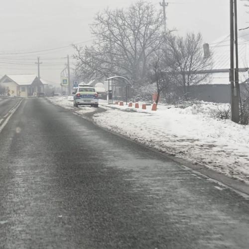 Poliția intervine după violență în familie în comuna Negomir, Gorj