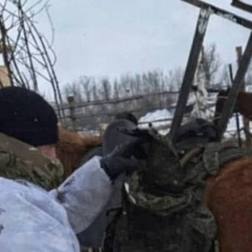 Rușii folosesc terminale Starlink montate pe cai pentru transmisii pe frontul din Ucraina