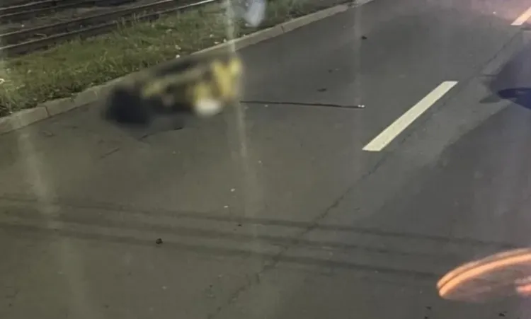 Șoferul implicat în accidentul mortal de la Ceanu Mare a fost plasat sub control judiciar