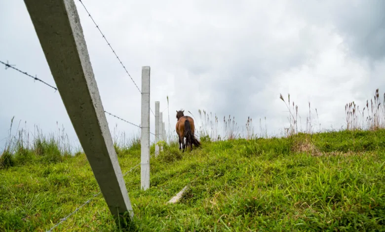 Motoburghiile pe benzină oferă eficiență crescută și adaptabilitate în proiectele de foraj