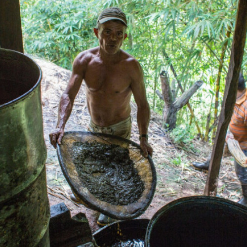 Gustavo Petro și Donald Trump se angajează să coopereze împotriva gherilei ELN la granița cu Venezuela