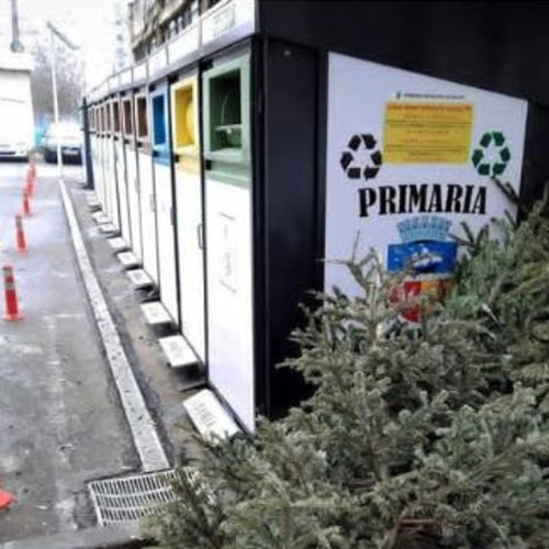 Gălățenii trebuie să depoziteze corect brazii de Crăciun după sărbători