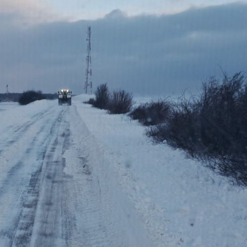 Autoritățile redeschid DN 24C Rădăuți Prut-Manoleasa și avertizează privind gerul sever în județul Botoșani