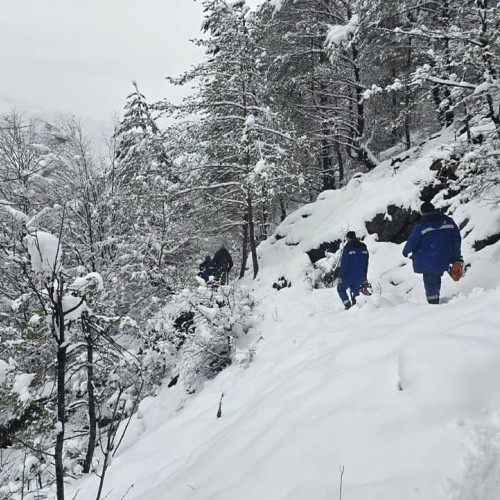 Echipele DEER restabilesc alimentarea cu energie în Alba după ninsorile din Munții Apuseni