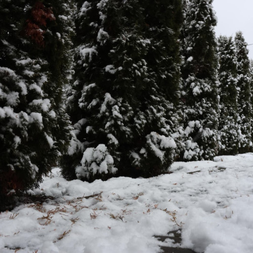 Administrația Națională de Meteorologie anunță un Cod galben de ger pentru mai multe regiuni