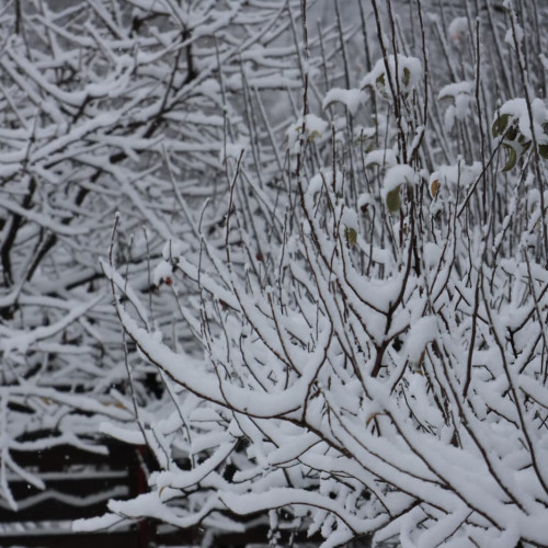 ANM anunță vreme deosebit de rece și ninsori până pe 13 ianuarie în toată țara