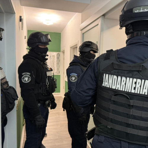 Doi tineri din Hlipiceni, cercetați pentru furt calificat și arestați la domiciliu