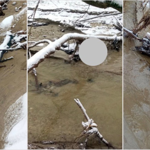 Bărbatul dispărut din Glăvile a fost găsit mort în albia unui râu