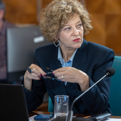 Vicepremierul Oana Gheorghiu vrea curățenie în politica de proprietate a statului