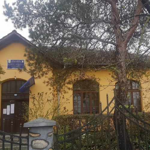 Școala Gimnazială Țânțăreni a trecut temporar la cursuri online din cauza avariei la încălzire