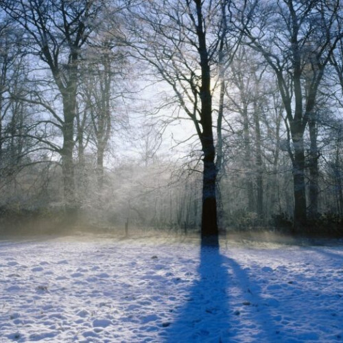 Bucureștiul se pregătește pentru cea mai rece noapte a sezonului cu temperaturi de până la minus 15 grade