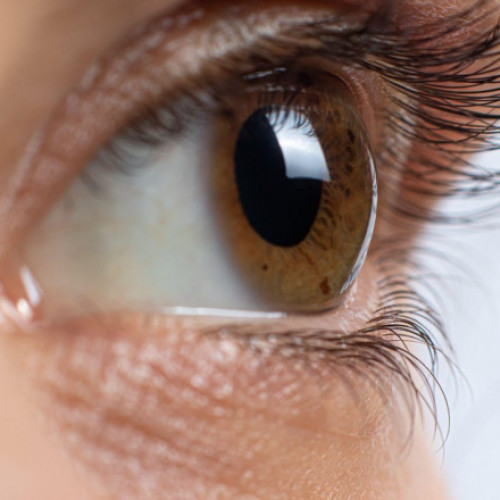 Institutul Mircea Olteanu realizează singurele transplanturi de cornee din spitalele de stat din România