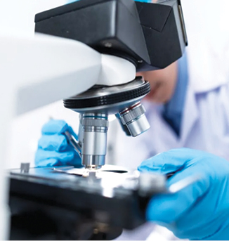 Cercetătorii dezvoltă compuși care stimulează arderea caloriilor la nivel celular