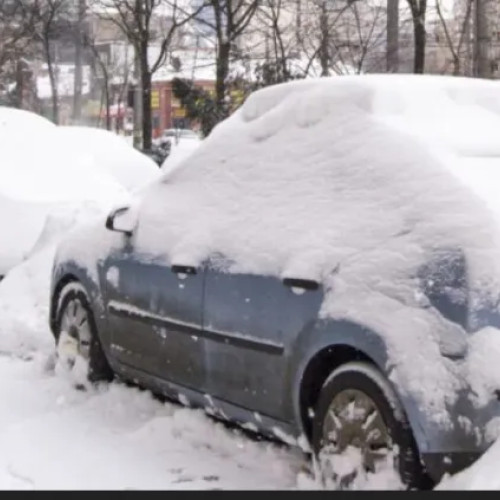Locatarii de pe strada Dunării cer intervenția autorităților pentru parcările ilegale