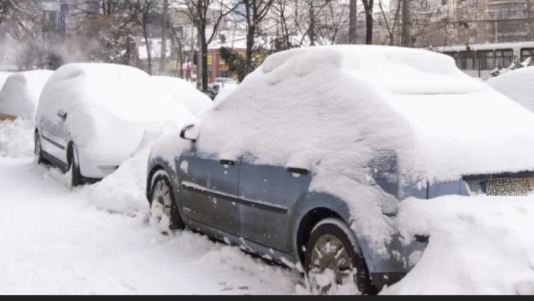 Locatarii de pe strada Dunării cer intervenția autorităților pentru parcările ilegale