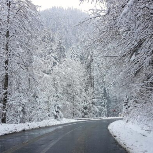 ANM anunță vreme deosebit de rece și ger prelungit la București până miercuri