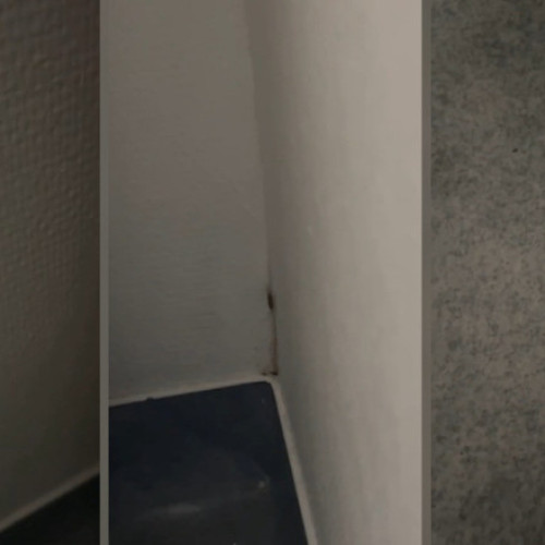 Pacienți și familii afectați de prezența gândacilor în Spitalul Slatina