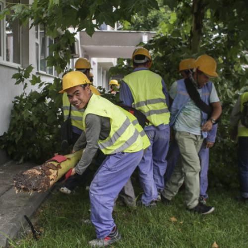 Blocul Național Sindical cere reglementări urgente pentru lucrătorii migranți