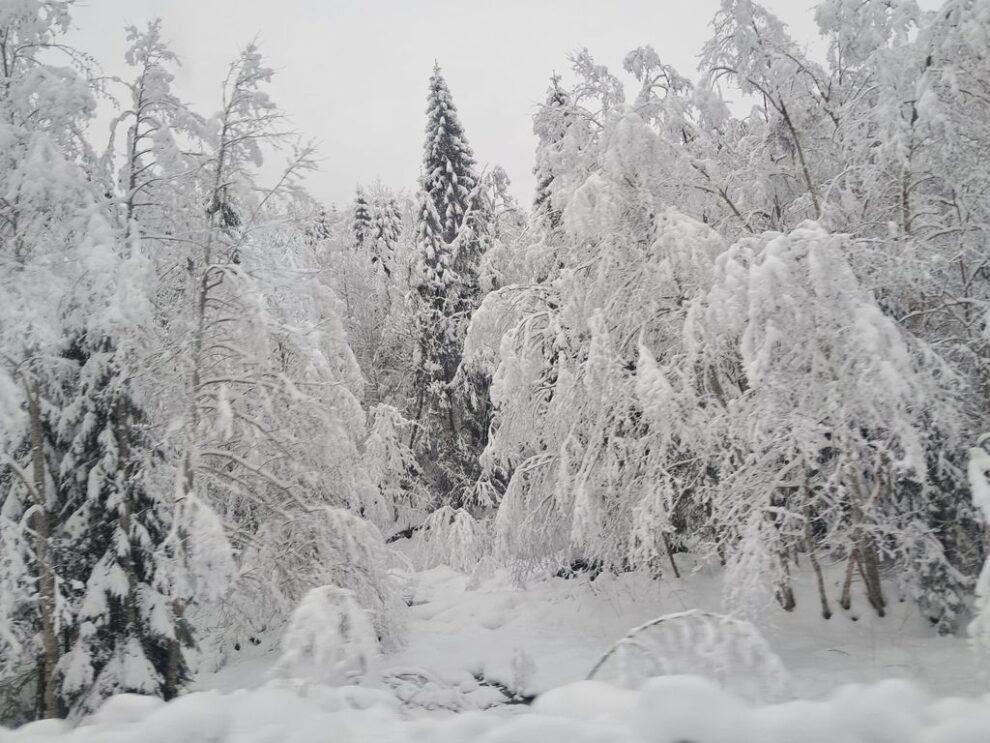 Vreme foarte rece și ger în aproape toată țara începând de sâmbătă