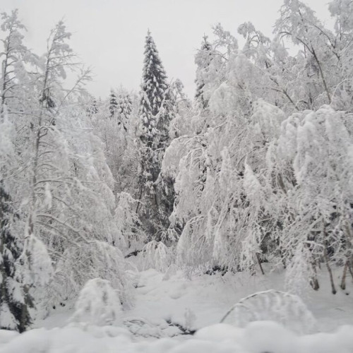 Vreme foarte rece și ger în aproape toată țara începând de sâmbătă
