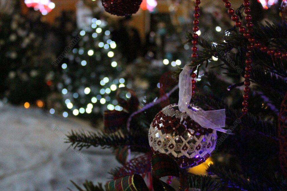 Radu Moldovan vorbește despre valoarea tradițiilor și unitatea românilor la Bistrița FM