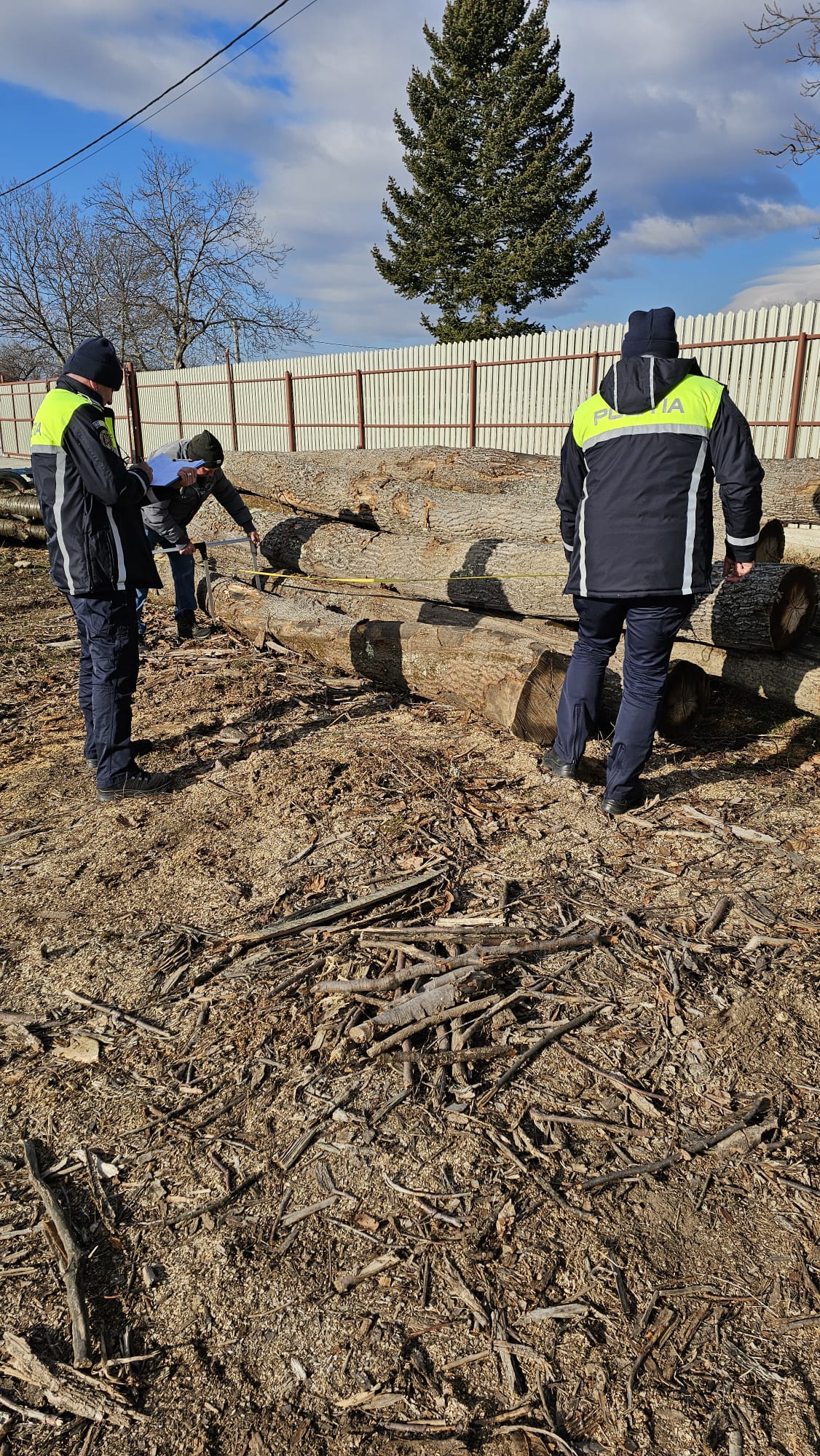 Polițiștii din Gorj rețin trei tineri pentru fraudă în regimul silvic