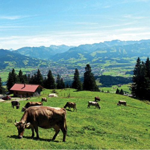 România conduce UE la ponderea angajaților în agricultură, deși sectorul pierde forță de muncă