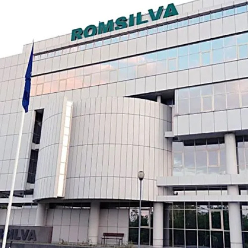 Diana Buzoianu anunță concurs transparent pentru director general la Romsilva