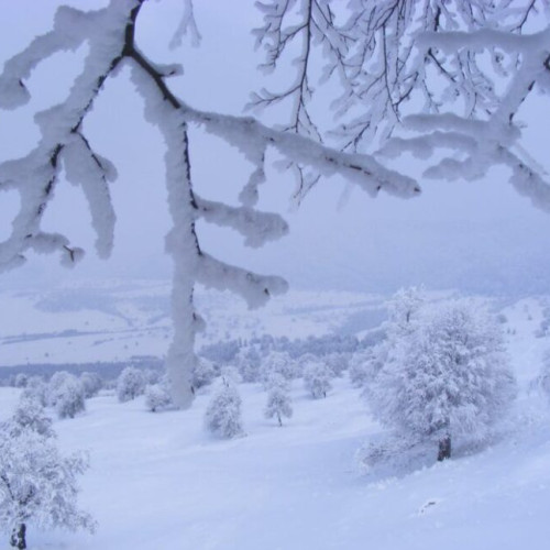 Valul de frig persistă în majoritatea zonelor, cu ger și polei anunțate