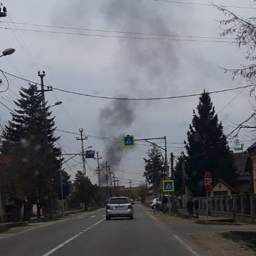 Gospodarul din Turulung, amendat pentru arderea deșeurilor din curtea sa