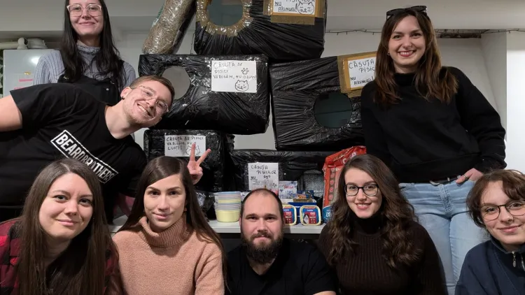 Voluntarii din Cluj construiesc căsuțe pentru animalele fără adăpost în sezonul geroasei ierni