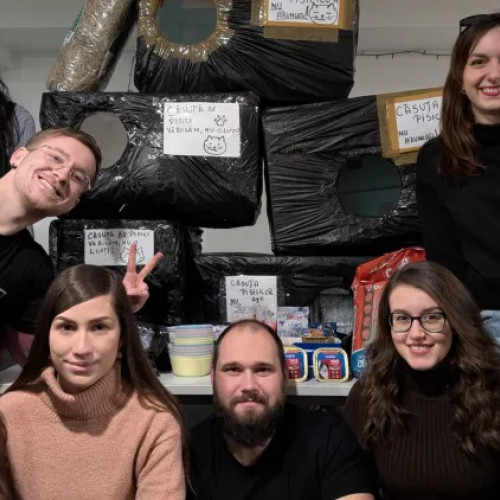 Voluntarii din Cluj construiesc căsuțe pentru animalele fără adăpost în sezonul geroasei ierni