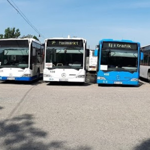Municipiul Arad ar putea introduce transportul public local gratuit