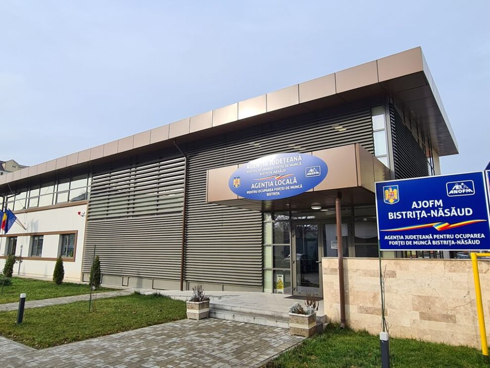 Mai multe locuri de muncă disponibile în județul Bistrița-Năsăud și în Uniunea Europeană