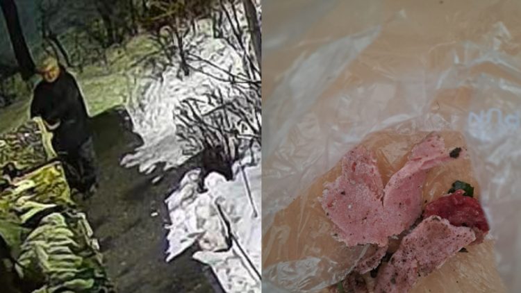 Bărbat surprins aruncând parizer către pisici în Baia Mare, locuitorii sunt avertizați